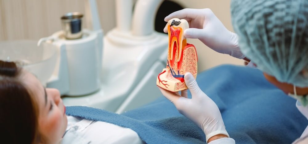 Dentist uses a model of a tooth to explain dental health to a patient